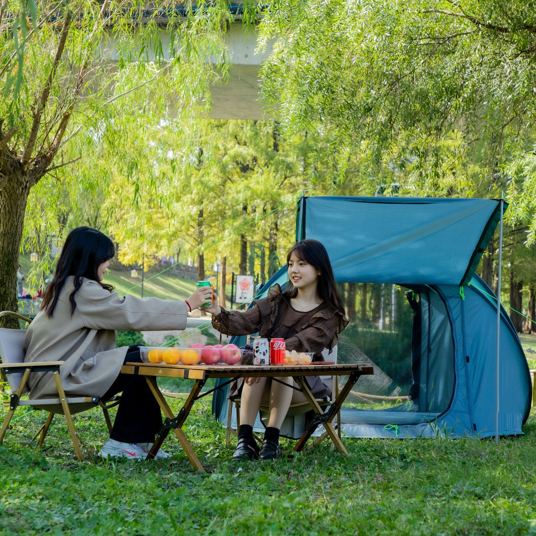 Outdoor Single-Layer Automatic Quick-Open Camping Tent